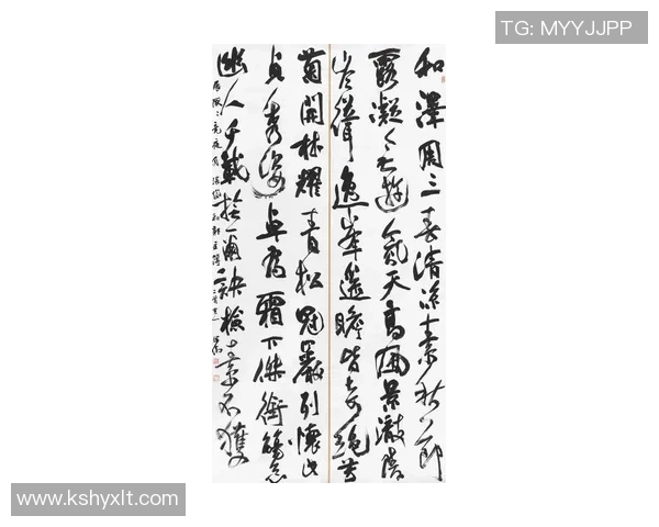 姚明坤书法艺术探秘：传统与现代的完美融合之旅